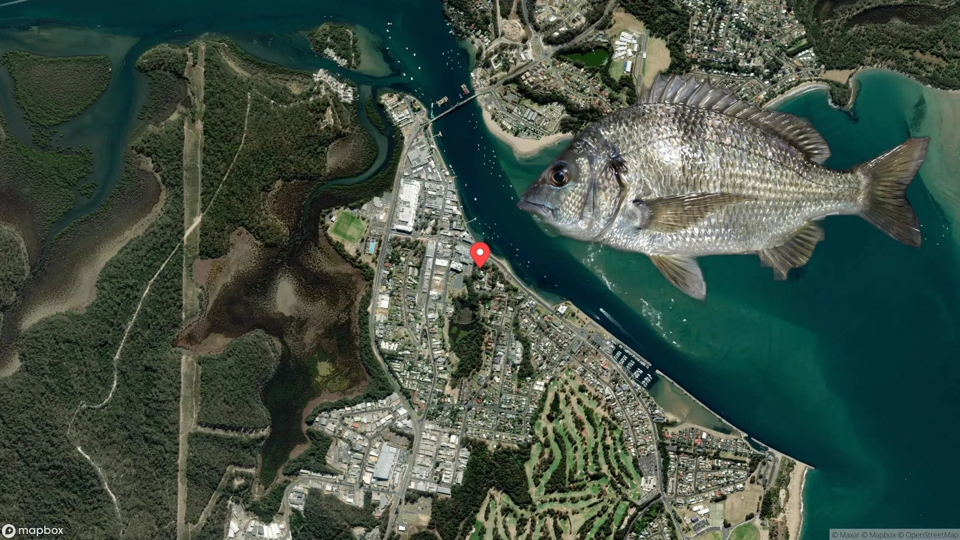 Anglers fishing for Black Bream at Clyde River Estuary