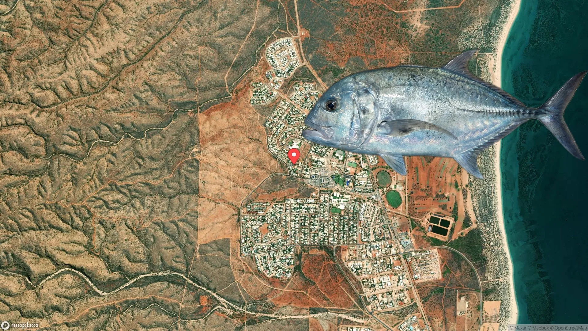 Angler fighting Giant Trevally at Exmouth, Ningaloo Coast