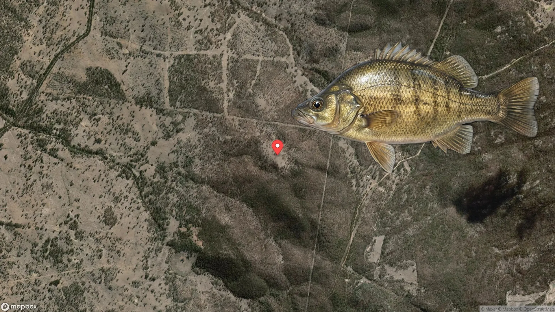 Anglers fishing for Golden Perch at Glenlyon Dam