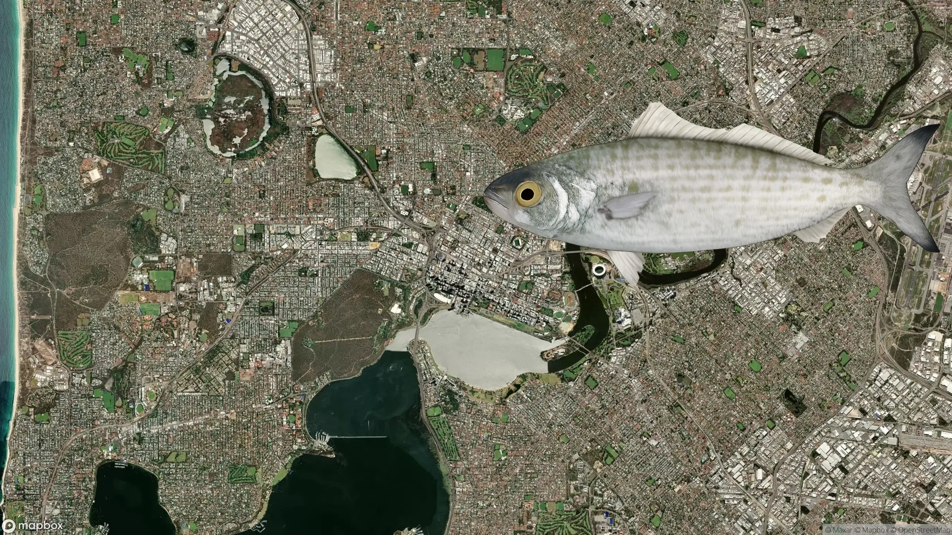 North Beach Jetty in Perth, Western Australia - popular herring fishing spot
