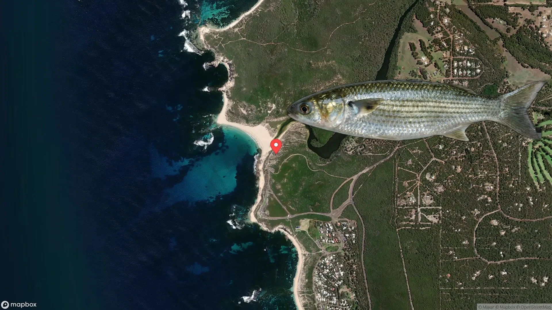Anglers fishing for Mullet at Margaret River mouth