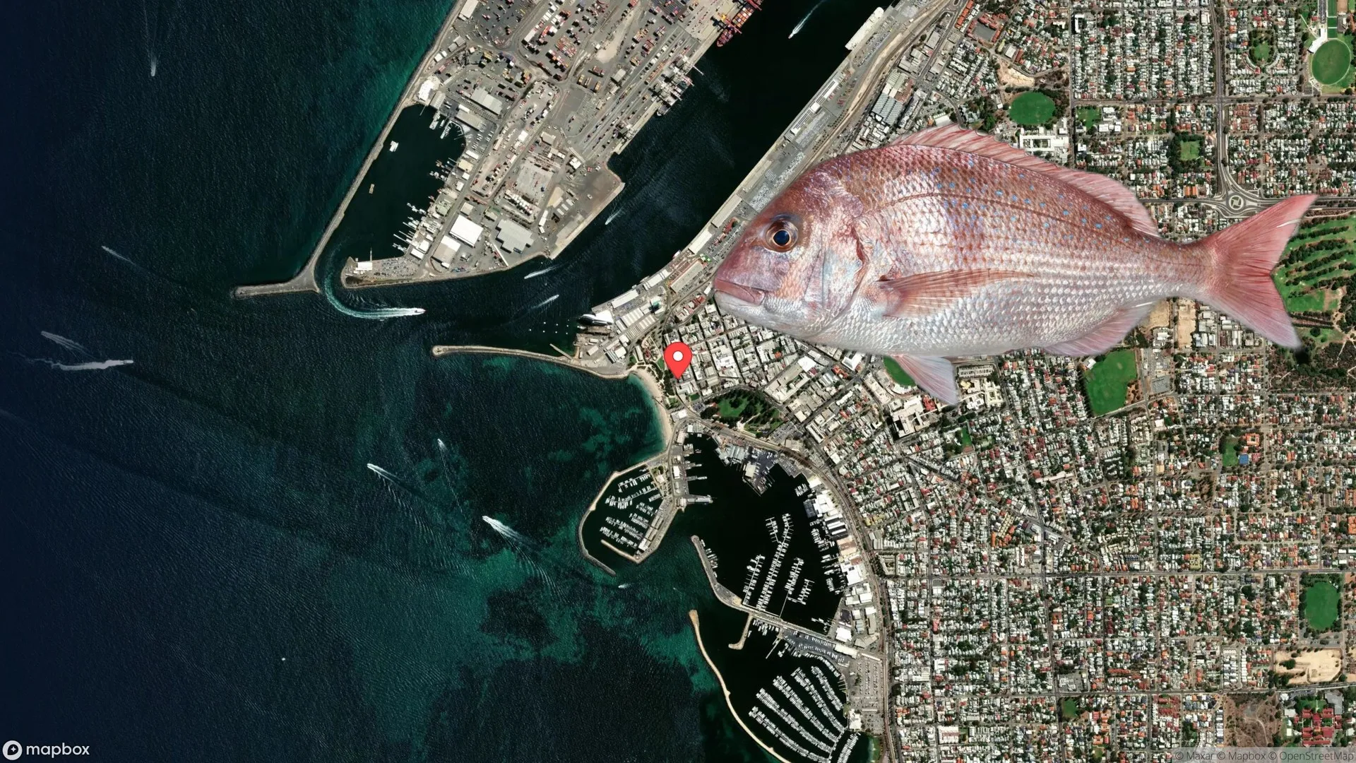 Anglers fishing from the iconic red lighthouse at North Mole, Fremantle
