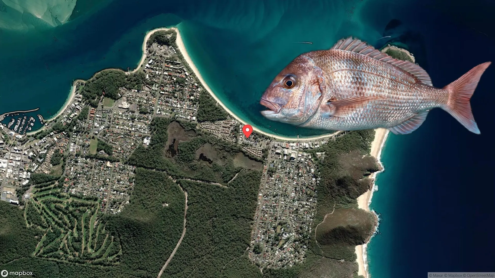 Anglers fishing for Snapper at Shoal Bay