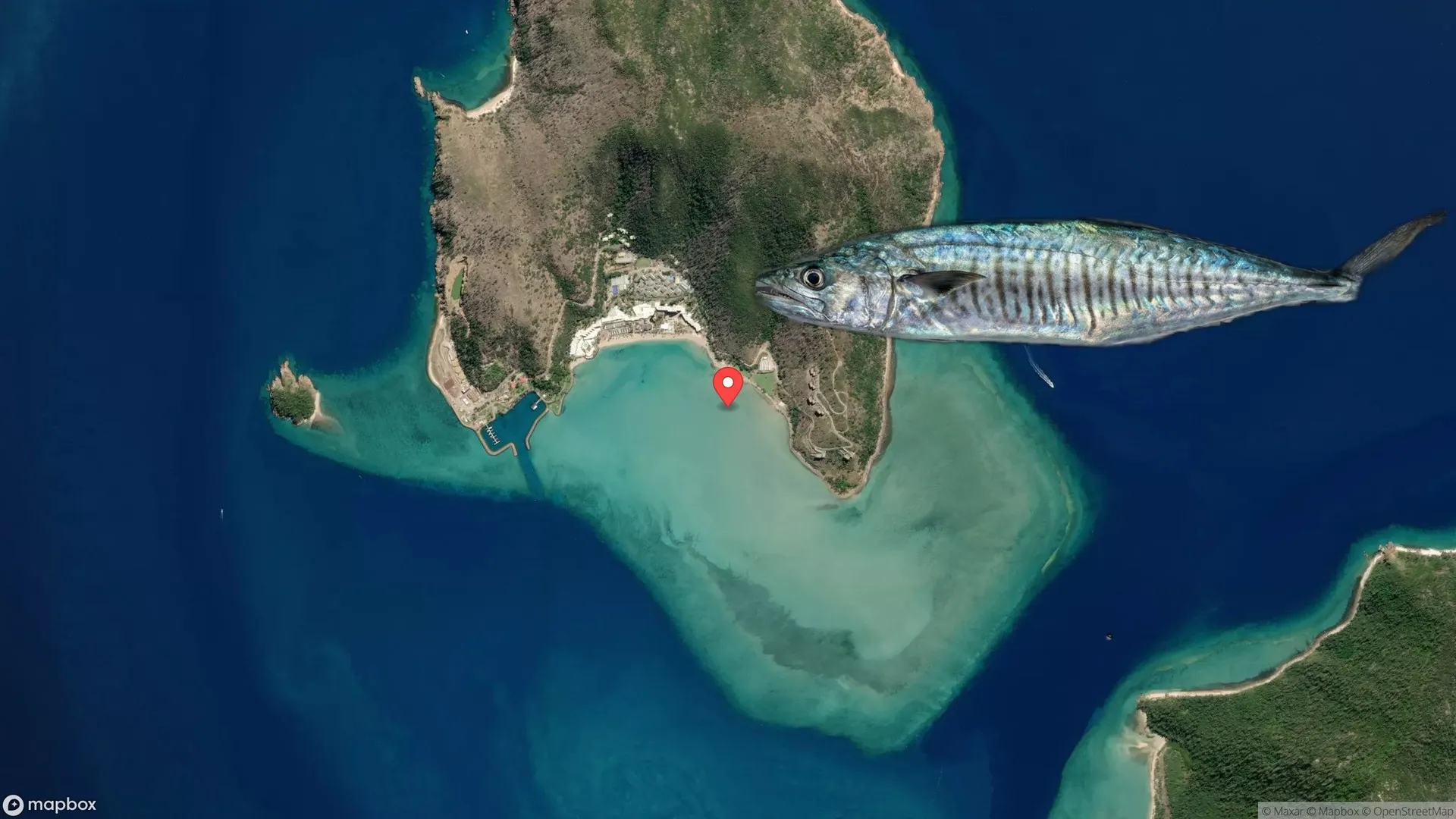 Anglers fishing for Spanish Mackerel at Hayman Island